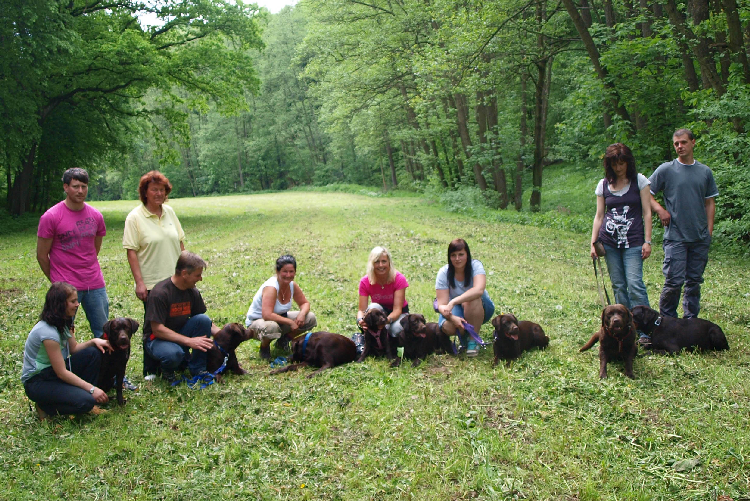 Labradortreffen A-chen